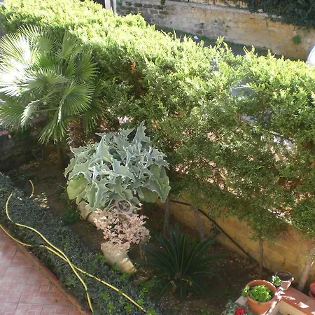 Bouganville * San Leone